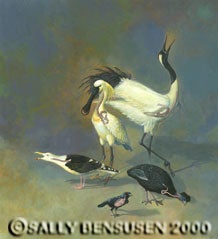 Bird Tracheas. An illustration showing the comparison of some of the largest bird tracheas as an explanation of why their calls are so attractive to females of that species. Acrylic-gouache (birds) and digital overlay (tracheas). Image source: Zimmer, Carl. “Calling a Bluff,” Biomechanics, Natural History, vol. 109, no. 2, Mar. 2000, p. 21.