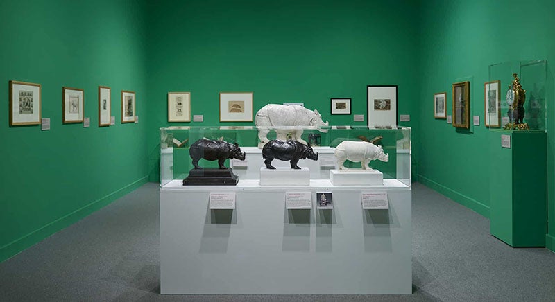 Three statuettes and a statue of Clara the rhino, after Oudry, Barber Institute of Fine Arts, University of Birmingham (barber.org.uk)