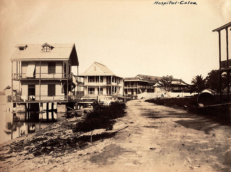 Old Hospital in Colon, without screens (Linda Hall Library)