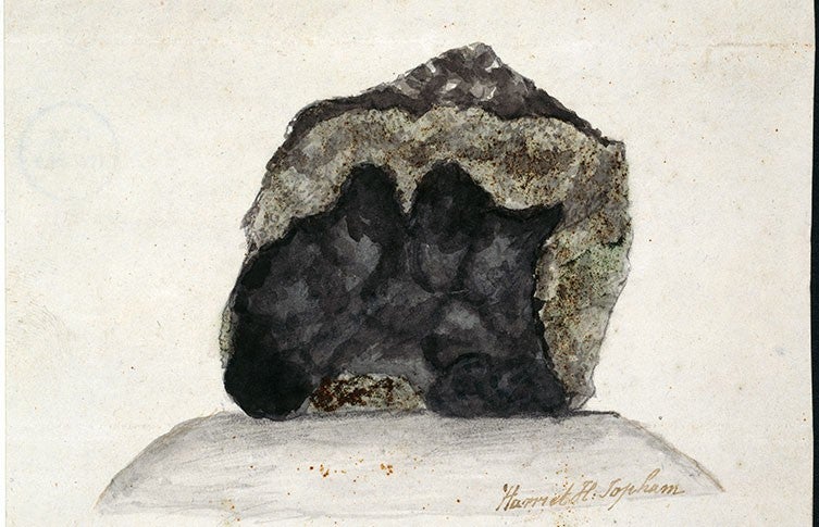 Sketch of the Wold Cottage meteorite, watercolor by Harriet Topham, 1797, Natural History Museum, London (nhm.ac.uk)