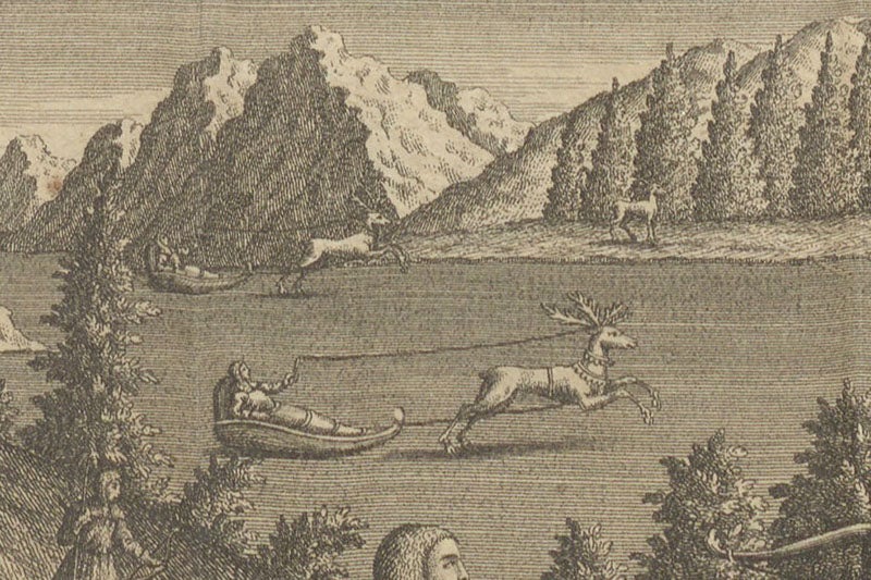 Two pulkas being drawn by reindeer, detail of first image,  Beschreibung von Lappland, by Pehr Högström, 1748 (Linda Hall Library)