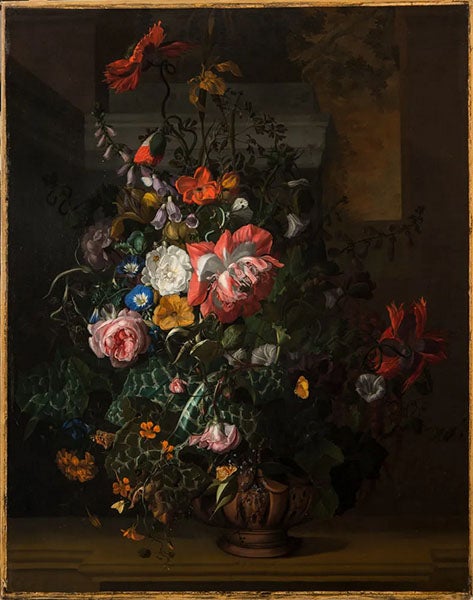 Roses, Convolvulus, Poppies and Other Flowers in an Urn on a Stone Ledge, oil on canvas, by Rachel Ruysch, late 1680s, National Museum of Women in the Arts, Washington, D.C. (nmwa.org)