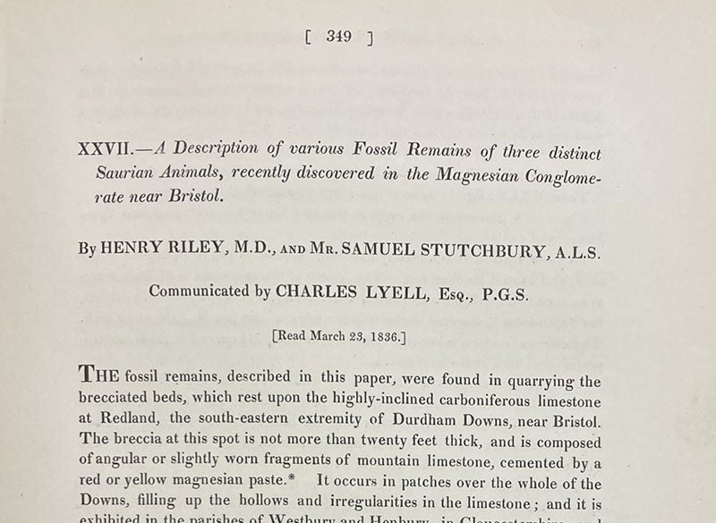 First paragraph, “A description of various fossil remains of three distinct saurian animals, recently discovered in the Magnesian Conglomerate near Bristol," by Henry Riley and Samuel Stutchbury, Transactions of the Geological Society of London, p. 349, ser. 2, vol. 5, 1840 (Linda Hall Library)
