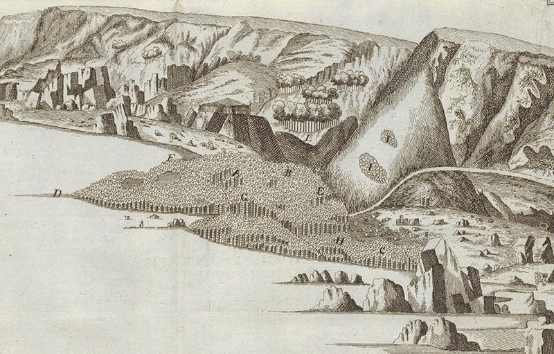 Detail of sixth image, showing the primary columnar basalt formation at the Giant’s Causeway (Linda Hall Library)