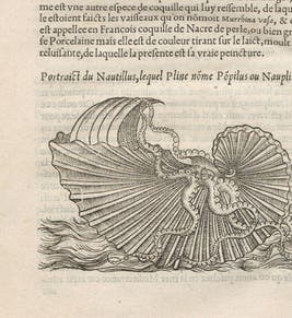 Pierre Belon Linda Hall Library