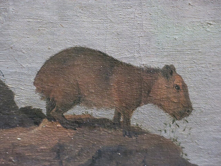 Detail of capybara in Sao Francisco River and Fort Maurits, by Frans Post, 1638, Louvre (Wikimedia commons)