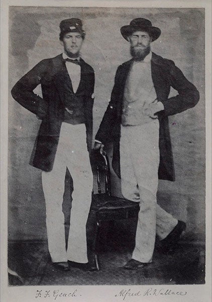 Portrait of Alfred Russel Wallace (right) and a companion in Singapore, photogaph,1862, National Portrait Gallery, London (npg.org.uk)