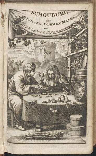Engraved frontispiece to Schou-burg der rupsen, wormen, máden, en vliegende dierkens, Stephan Blankaart, 1688 (Linda Hall Library)