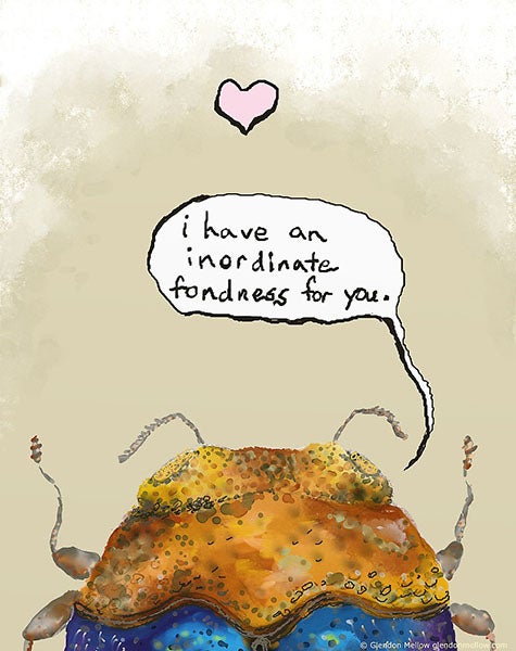 The Phrase on a Valentine’s Day card (redbubble.net)