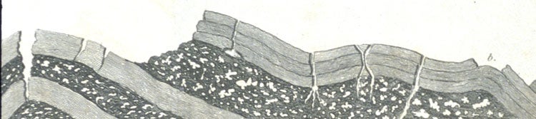 Strata section in Derbyshire. Image source: Watson, White. A Delineation of the Strata of Derbyshire. Sheffield: Printed by W. Todd, 1811, frontispiece.