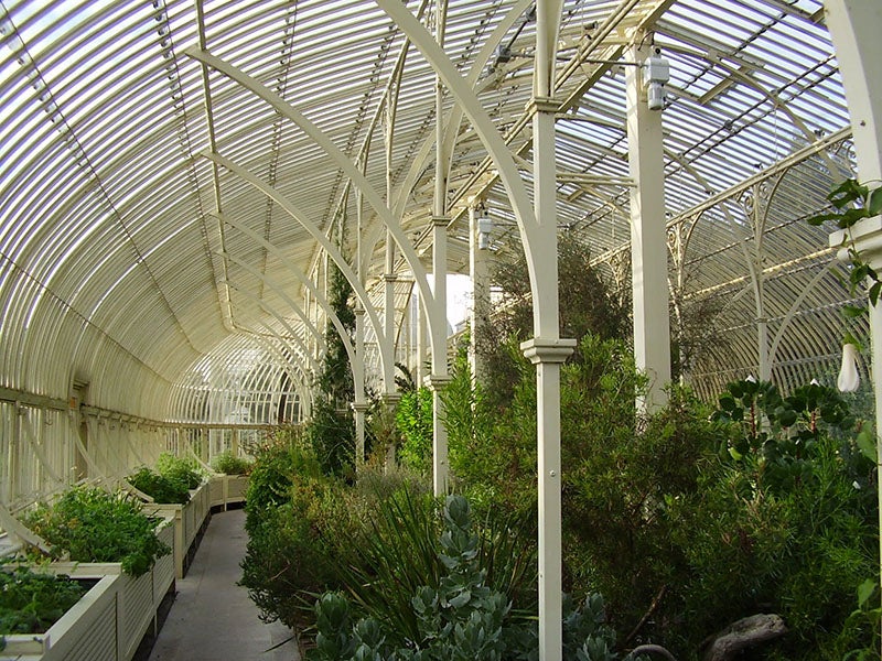 Interior of the Curvilinear Range, National Botanic Gardens, Glasnevin, Dublin, showing some of Richard Turner’s ironwork (dimp.ie)