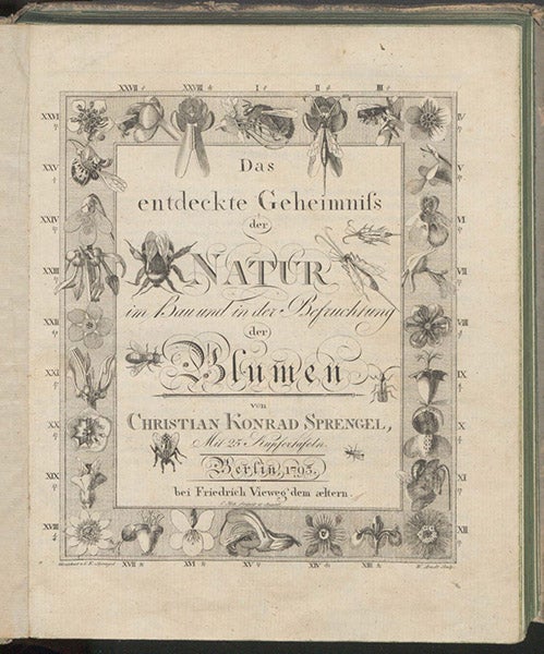 Engraved title page, Das Entdeckte Geheimniss der Natur im Bau und in der Befruchtung der Blumen, by Christian Konrad Sprengel, 1793 (Linda Hall Library)