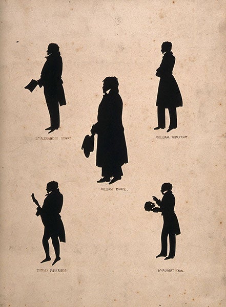 Sheet with 5 silhouettes; Robert Knox is at bottom right, anatomist Alexander Monro III is at top left, convicted murderer William Burke is at center, Wellcome Collection, London (wellcomecollection)