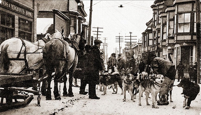 Balto and the rest of the dog team of Gunnar Kassen, arriving in Nome, Feb. 2, 1925 (Sports Illustrated, si.com)