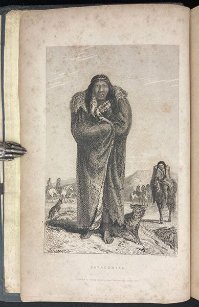 “Patagonian,” etched frontispiece after a drawing by Phillip Parker King, in Narrative of the Surveying Voyages of His Majesty's Ships Adventure and Beagle, between the Years 1826 and 1836, by Robert FitzRoy, vol. 1, 1839 (Linda Hall Library)