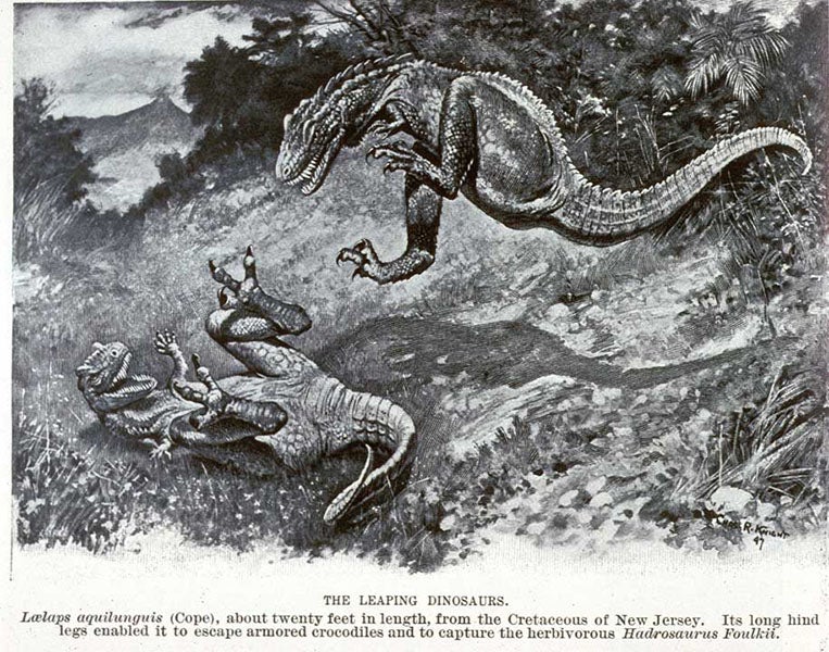 Leaping Laelaps, photo-reproduction of a watercolor by Charles R. Knight, Century Magazine, p. 13, Nov. 1897 (Linda Hall Library)