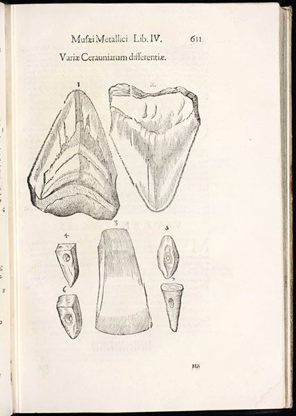 “Various kinds of Cerauniae”, which includes two fossilized shark’s teeth and 5 prehistoric stone tools from Gesner, woodcut in Musaeum metallicum, by Ulisse Aldrovandi, 1648 (Linda Hall Library)