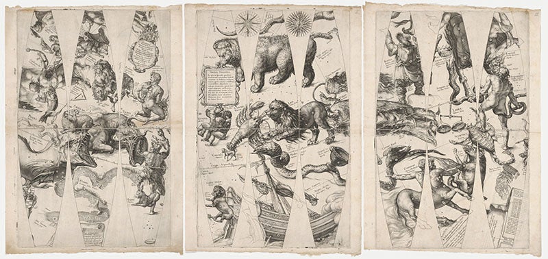 Nine (of 12) gores for a celestial globe, 3 engravings, uncut, by Willem Janszoon Blaeu, 1599 (Harvard Map Collection)