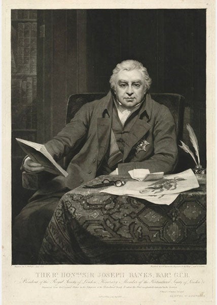 Joseph Banks, mezzotint, by Samuel William Reynolds,and Samuel Cousins, after Thomas Phillips, 1822, National Portrait Gallery, London (npg.org.uk)