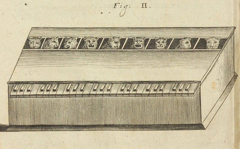 The first image of a cat piano, detail of third image, from Magia universalis, by Gaspar Schott, vol. 2, plate 24, p. 372, 1657-59 (Linda Hall Library)  