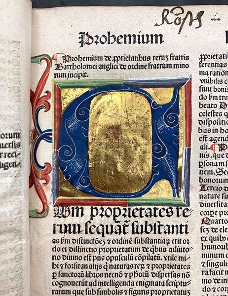 Illuminated initial “C”, De proprietatibus rerum, by Bartholomaeus anglicus, OFM, 1483 (Linda Hall Library)