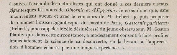 The naming of Gastornis after Gaston Planté, last paragraph of Prévost article, Comptes Rendus, 1855 (Linda Hall Library)