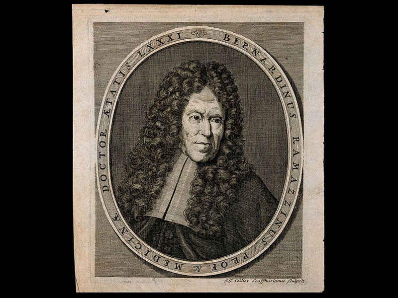 Wellcome Library, London