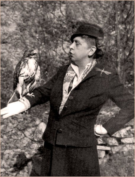Rosalie Edge posing with a hawk, photograph, 1947 (wednesdayswomen.com)