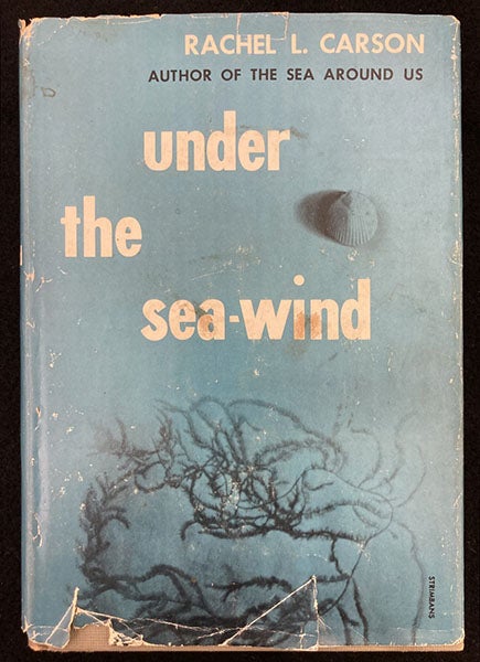 Dust jacket of Under the Sea Wind, by Rachel Carson, second edition, 1952 (author’s copy)