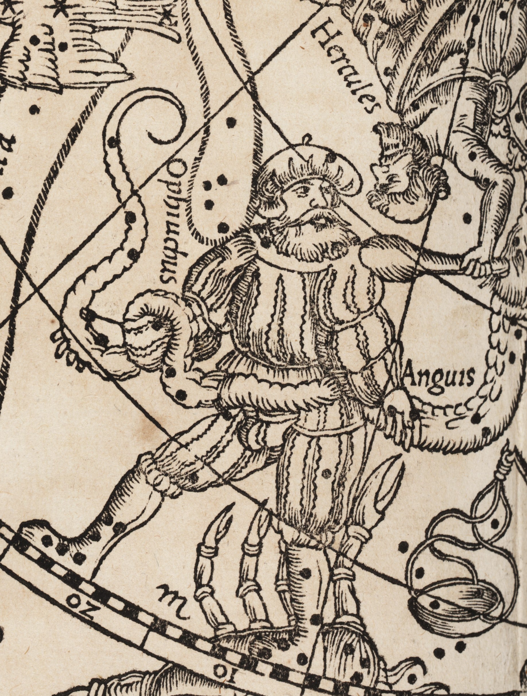 Detail of Ophiuchus in sixteenth-century clothing. Image source: Honter, Johannes. "Imagines Constellationum Borealium [-Australium]." Omnia, quae extant, opera. Basel: apud Henricum Petrum, 1541, pl. 1.
