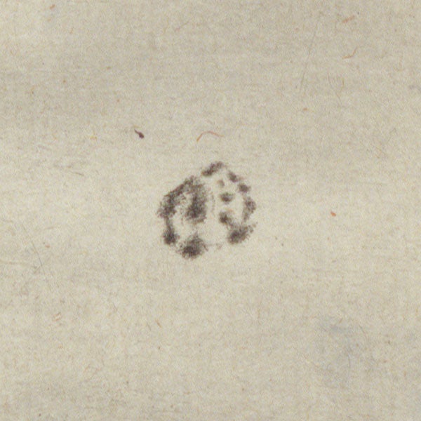 Detail of unlabelled sunspot group, engraving of the solar disc with sunspots, by Mattheus Greuter, after drawing by Galileo Galilei, in his Istoria e dimostrazioni intorno alle macchie solari, p. 91, 1613 (Linda Hall Library)