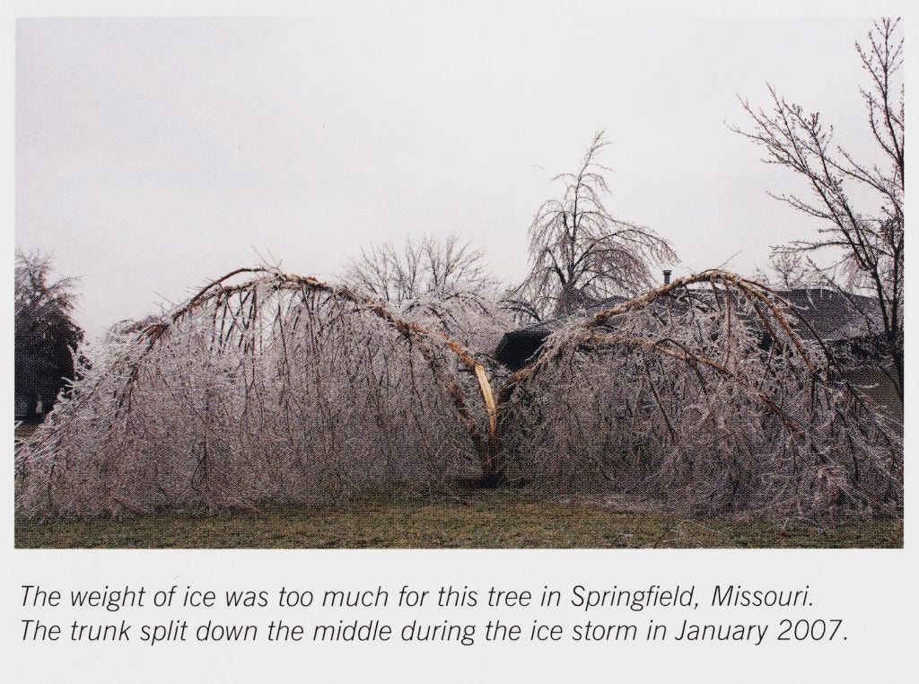 Photo credit: Mogil, H. Michael. Extreme Weather: Understanding the Science of Hurricanes, Tornadoes, Floods, Heat Waves, Snow Storms, Global Warming and Other Atmospheric Disturbances. Black Dog & Leventhal, 2007, p. 59.