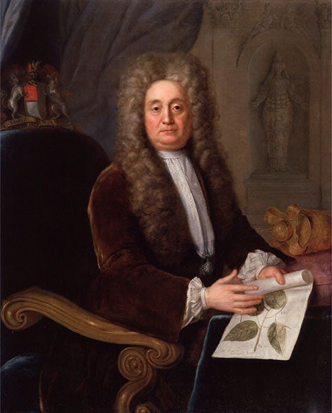 Portrait of Hans Sloane, oil on canvas, by Stephen Slaughter, 1736, National Portrait Gallery, London (npg.org.uk)