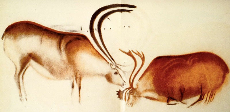 Two reindeer, copy by Abbé Breuil of cave paintings at Font de Gaume, 1901 (Don’s Maps)