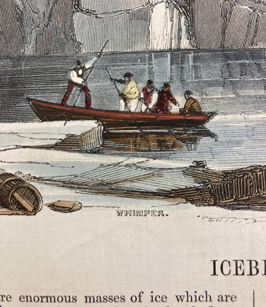 Signature “Whymper,” detail of eighth image, [Natural Phenomena], plate 6, 1846 (Linda Hall Library)