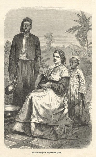 Alexine Tinné in the Sudan, wood engraving after a photograph (artgen.billerantik.de)