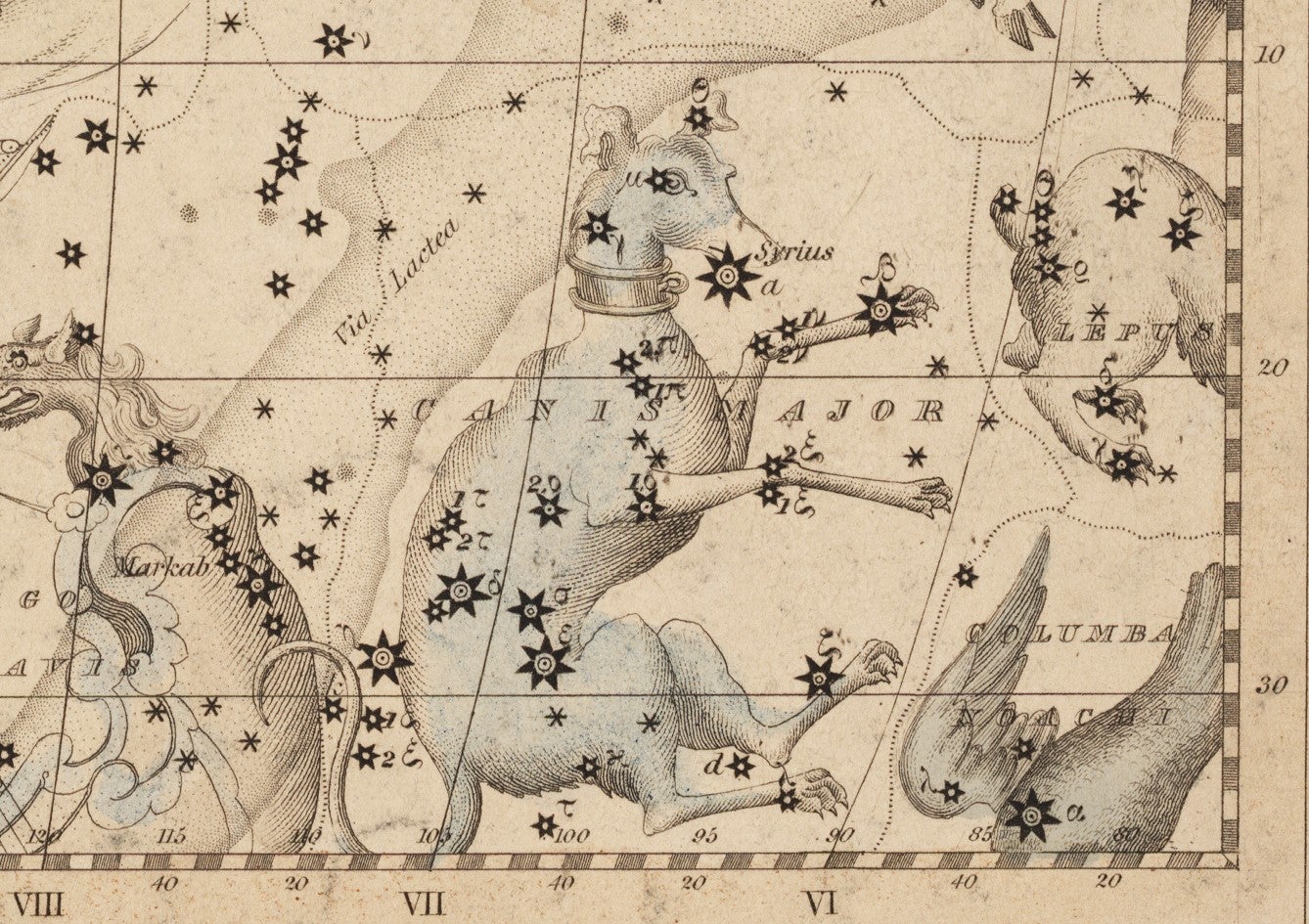 Canis Major. Image source: Middleton, James. A Celestial Atlas: Containing Maps of All the Constellations Visible in Great Britain, with Corresponding Blank Maps of the Stars: Systematically Arranged for Communicating a Practical Knowledge of the Heavens. London: Whittaker and Co., 1842, pl. 3.
