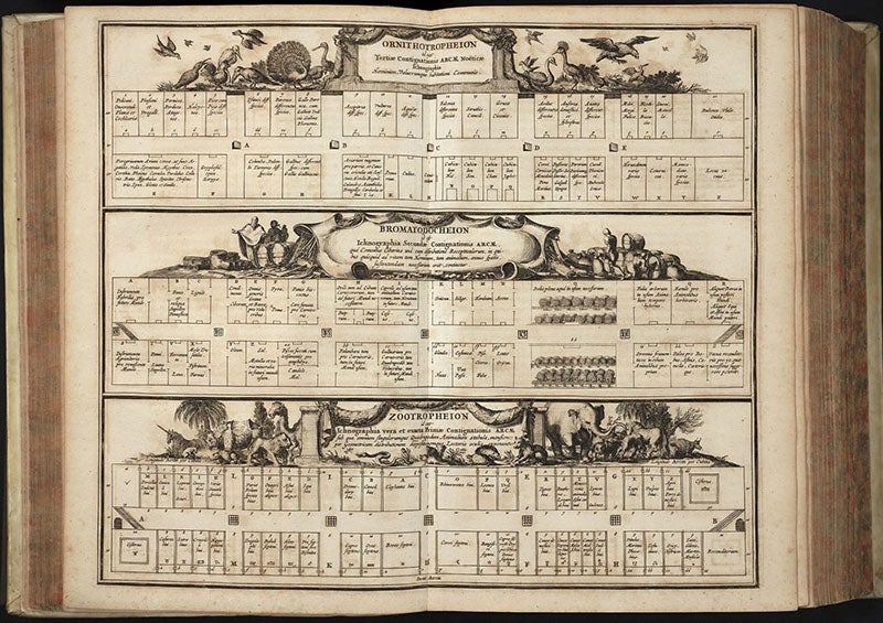 “Ichnographia” or plan for all the animal and bird compartments on the three levels of the Ark, engraving in Arca Noë, by Athanasius Kircher, foll. p. 108, 1675, copy 2 (Linda Hall Library)