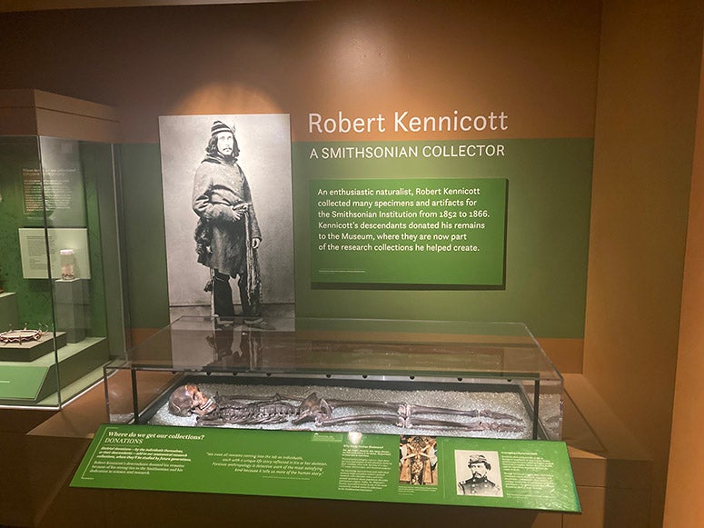 Skeleton of Robert Kennicott, on display at the National Museum of Natural History, Smithsonian Institution (Wikimedia commons)