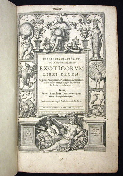 Engraved title page, Exoticorum libri decem, by Carolus Clusius, 1605 (Linda Hall Library)