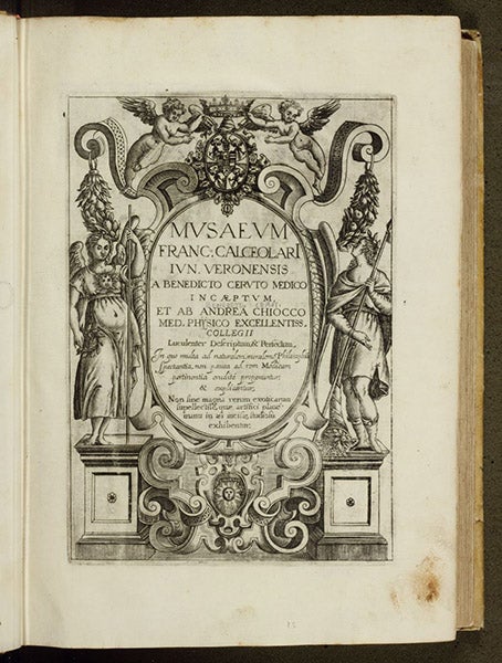 Engraved title page, Musaeum Franc. Calceolarii, by Benedicto Ceruto and Andrea Chiocco, 1622 (Linda Hall Library)