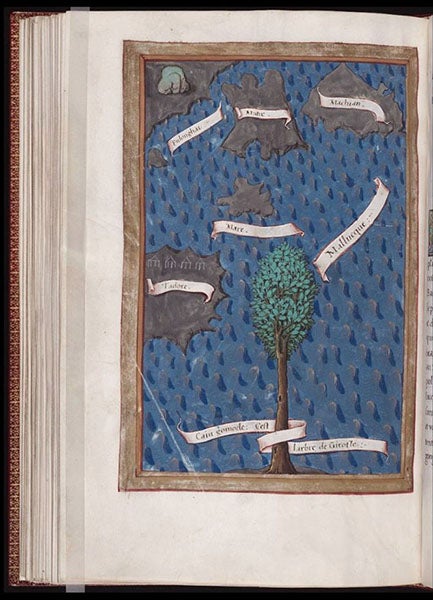 “Five of the islands where grow the cloves [Moluccas],” watercolor in Relazione del primo viaggio intorno al mondo, by Antonio Pigafetta, French translation, Beinecke MS 351, fol. 85 verso (collections.library.yale.edu)