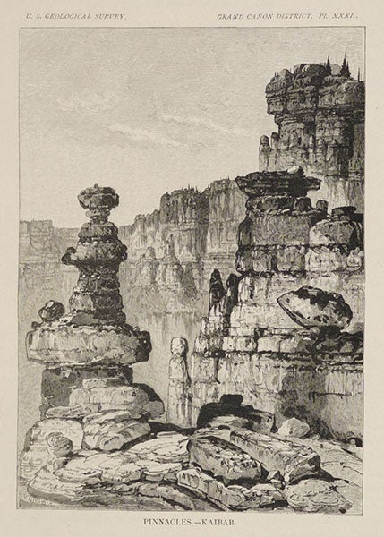 “Pinnacles – Kaibab,” wood engraving after a drawing by William Henry Holmes, Tertiary History of the Grand Cañon District, by Clarence E. Dutton (USGS Monograph, 2), p. 84, 1882, copy 2 (Linda Hall Library)