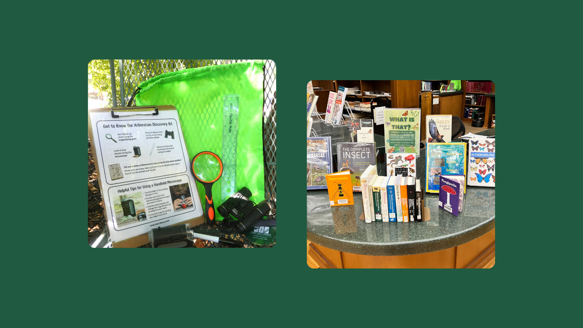 Arboretum Discovery Kits and Field Guides