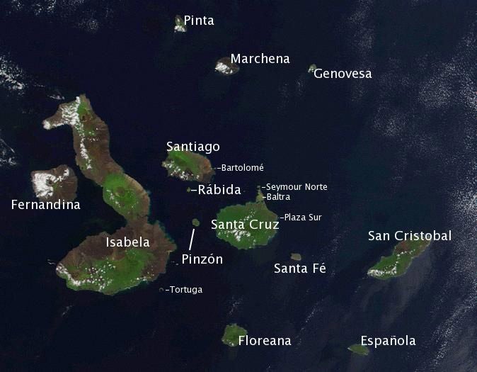 Photograph of the Galápagos Islands from a space satellite, with modern names overlaid; in Darwin’s time, San Cristobal was Chatham Island; Floreana was Charles Island, Isabella was Albemarle, and Santiago was James Island (Wikimedia commons)