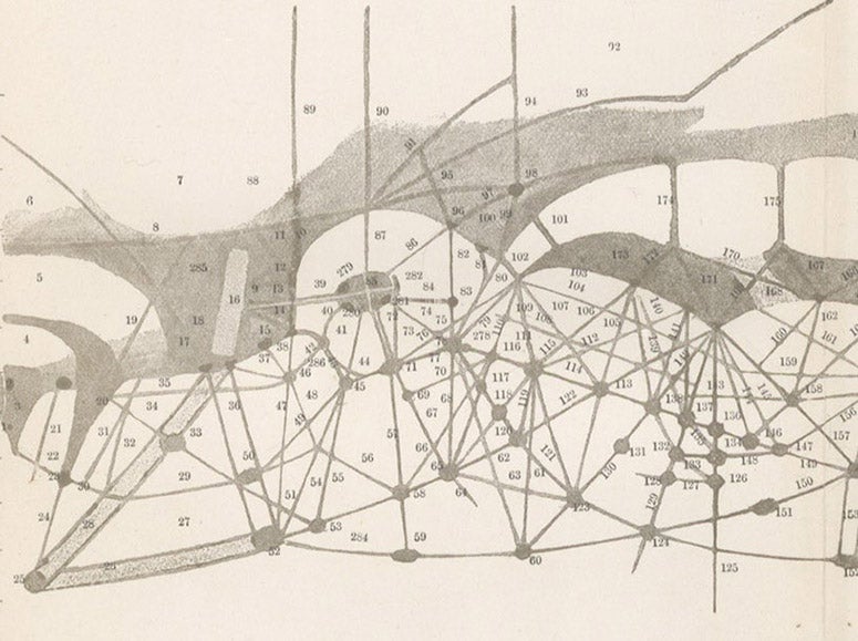 Detail of the sixth image, showing the region around Solis Lacus on the folding map of Mars, drawn by Percival Lowell, in Mars, plate 24, 1895 (Linda Hall Library)