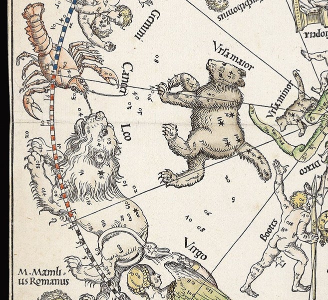 The constellations Ursa major, Cancer, and Leo, detail from Imagines Coeli Septentrionales (northern celestial hemisphere), woodcut by Albrecht Dürer et al., 1515, offered and sold by Daniel Crouch Rare Books (crouchrarebooks.com)