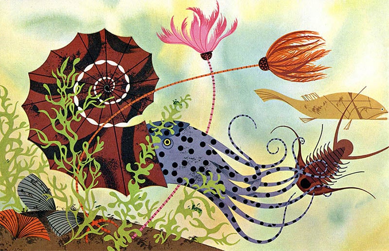 A nautilus, illustration by Charley Harper, for The Giant Golden Book of Biology, by Gerald Ames and Rose Wyler, 1961 (charleyharperprints.com)