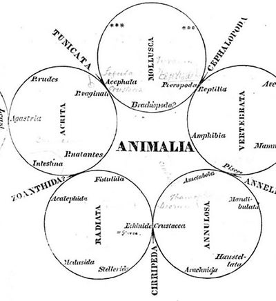 William Sharp Macleay Linda Hall Library