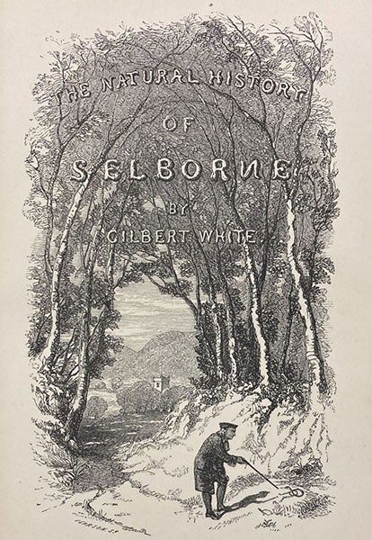 Wood-engraved title page, with a portrait of the author, The Natural History and Antiquities of Selborne, by Gilbert White, edited by William Jardine, 1853 (Linda Hall Library)